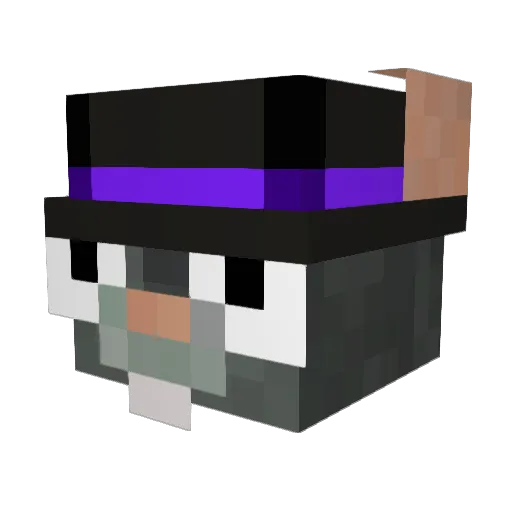 Nyxtry Minecraft avatar head, 3D render