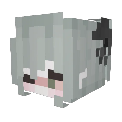 Nyxx_4 Minecraft avatar head, 3D render
