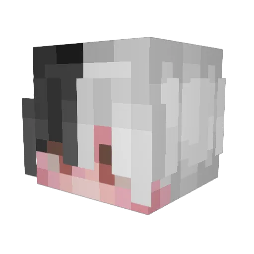 Nyynx Minecraft avatar head, 3D render