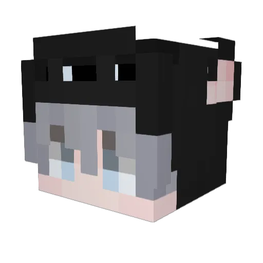 Nyyze_ Minecraft avatar head, 3D render
