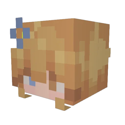 NyzVoids Minecraft avatar head, 3D render