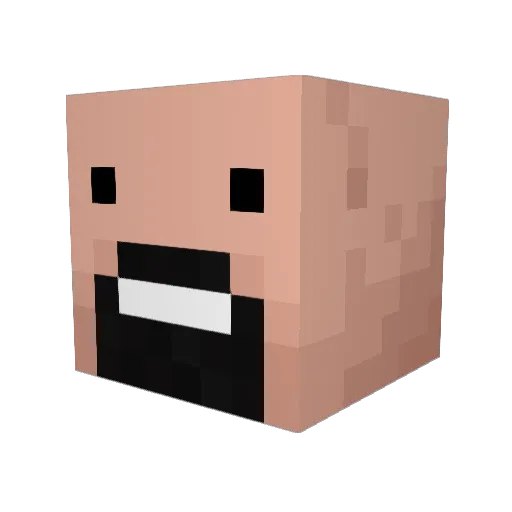 Nzollner Minecraft avatar head, 3D render