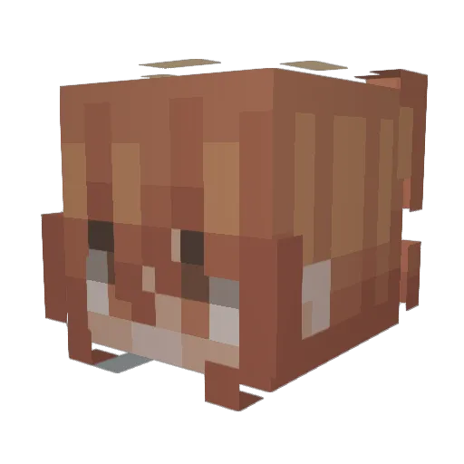 Nztaunas Minecraft avatar head, 3D render