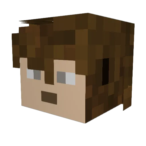 O0Ch1k3nO0 Minecraft avatar head, 3D render