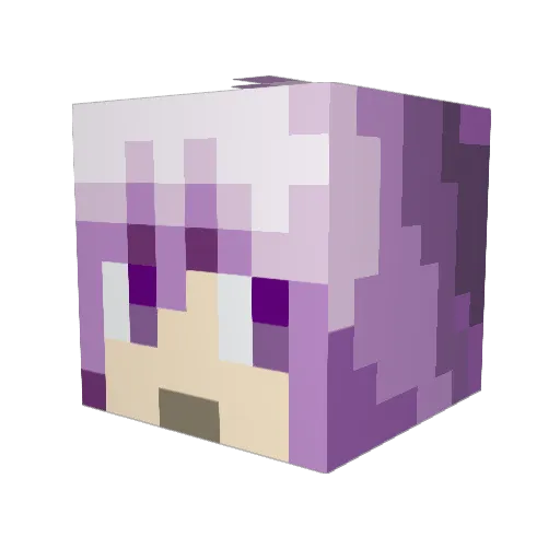 O2er0 Minecraft avatar head, 3D render