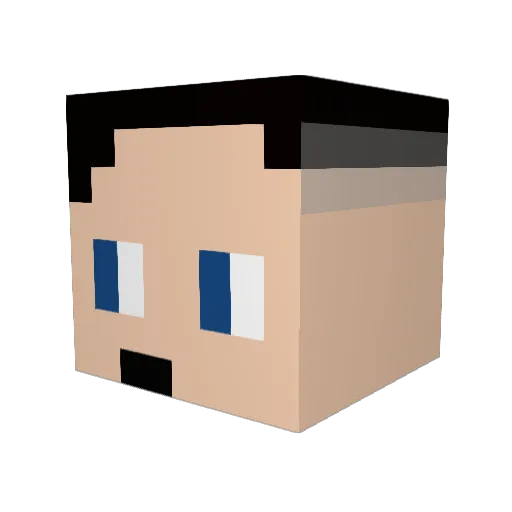 O51L Minecraft avatar head, 3D render