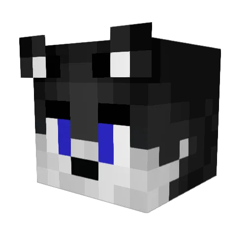O5_Jalla Minecraft avatar head, 3D render