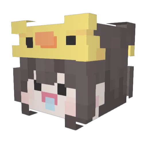 OAE5 Minecraft avatar head, 3D render