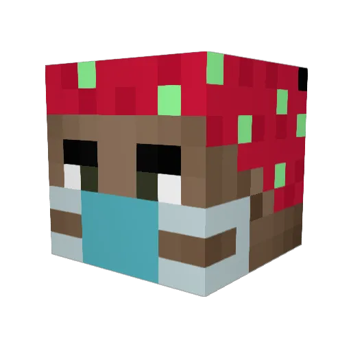 OAOIOI Minecraft avatar head, 3D render