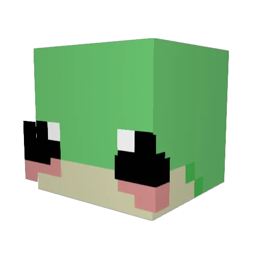 OATMILK4LYFE Minecraft avatar head, 3D render
