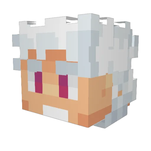 OBBoy1416 Minecraft avatar head, 3D render