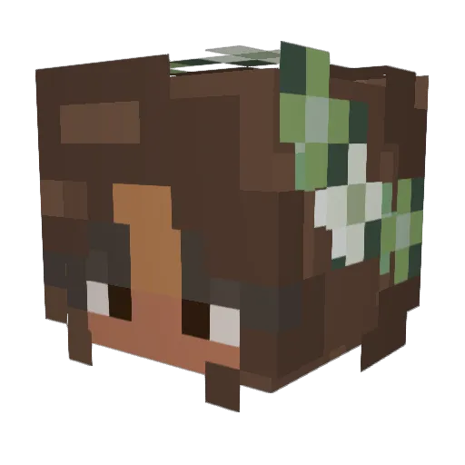 OBEYTHECEEPER Minecraft avatar head, 3D render