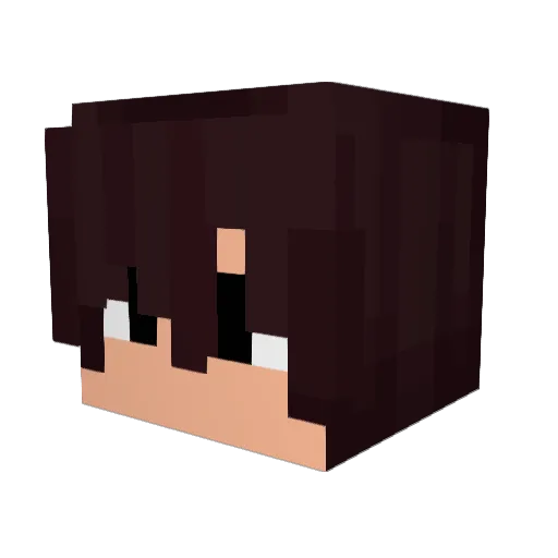 OBOVOR Minecraft avatar head, 3D render