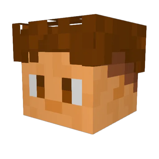 OBSTruth Minecraft avatar head, 3D render