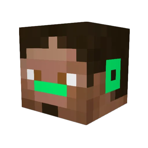 OCELOTL8 Minecraft avatar head, 3D render