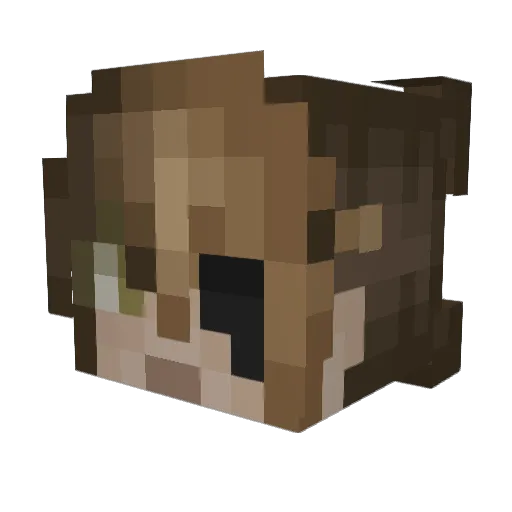 OCTOGILL Minecraft avatar head, 3D render