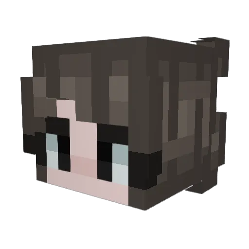 OE10x2 Minecraft avatar head, 3D render