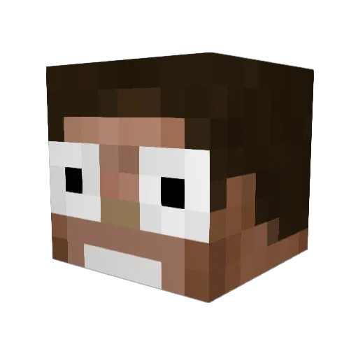OEOE_ Minecraft avatar head, 3D render