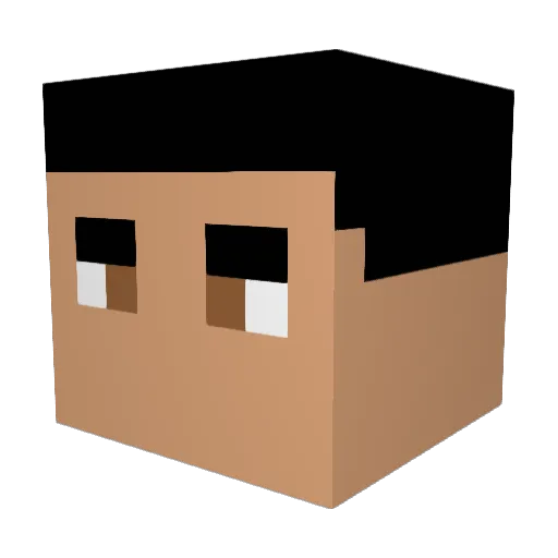 OE_Shim Minecraft avatar head, 3D render