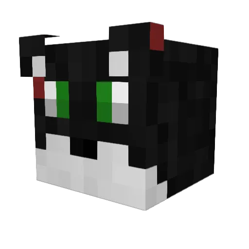 OFNCRoadkill Minecraft avatar head, 3D render