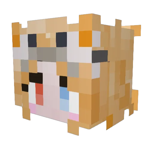 OGASoffical Minecraft avatar head, 3D render