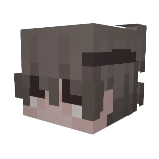 OGXxOverKiIIxX Minecraft avatar head, 3D render