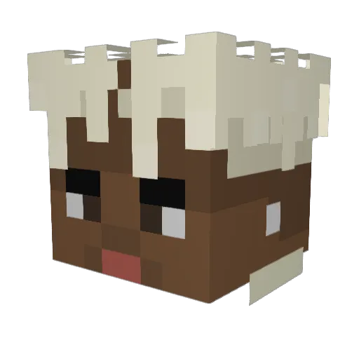 OG_Dmn Minecraft avatar head, 3D render