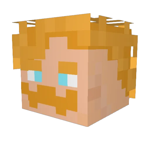 OG_Floppy Minecraft avatar head, 3D render