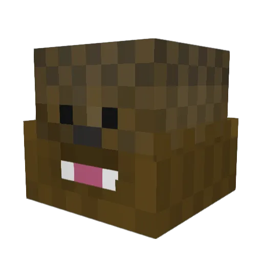 OG_Ismiregal96 Minecraft avatar head, 3D render