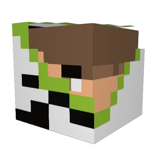OG_JJKrohnicles Minecraft avatar head, 3D render