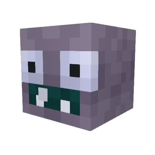 OG_Jerzyk10 Minecraft avatar head, 3D render