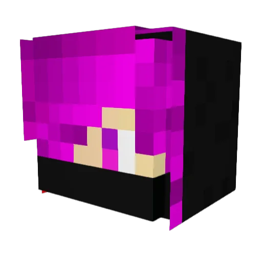 OG_Toxicgamer4K Minecraft avatar head, 3D render
