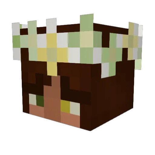 OHANA1970 Minecraft avatar head, 3D render