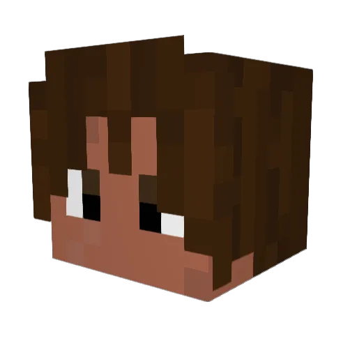 OHASIS Minecraft avatar head, 3D render