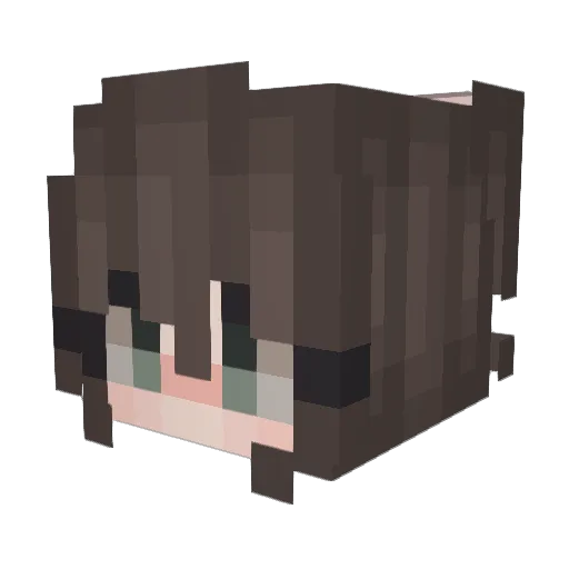 OKBoomer0529 Minecraft avatar head, 3D render