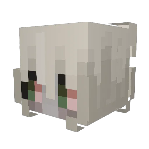OKCAHKA Minecraft avatar head, 3D render
