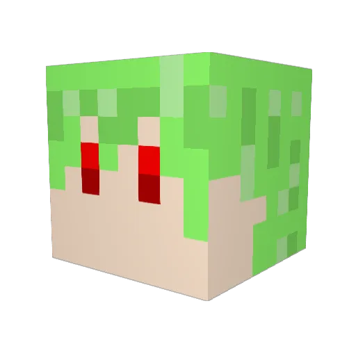 OKOMERICE00 Minecraft avatar head, 3D render