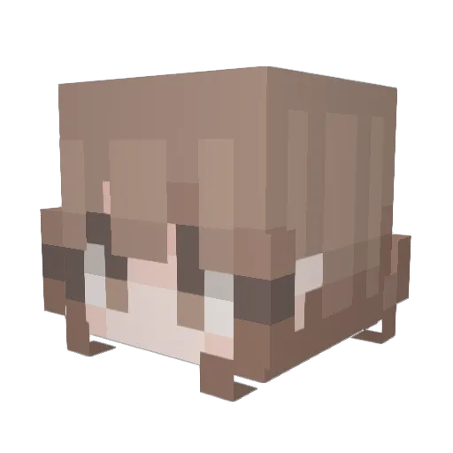OLDsnakecool Minecraft avatar head, 3D render