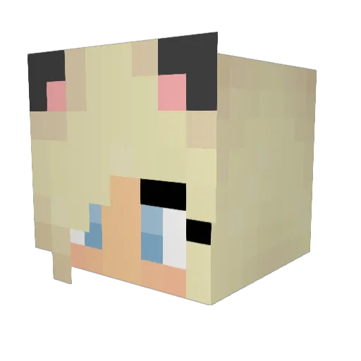 OLIVIAFER Minecraft avatar head, 3D render