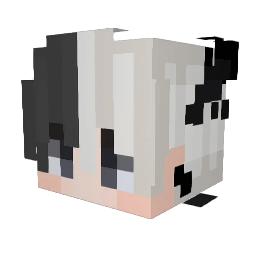 OLLIVVVERR Minecraft avatar head, 3D render