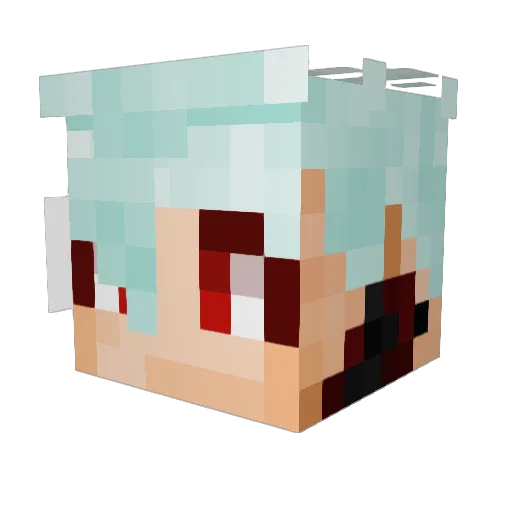OMD12 Minecraft avatar head, 3D render