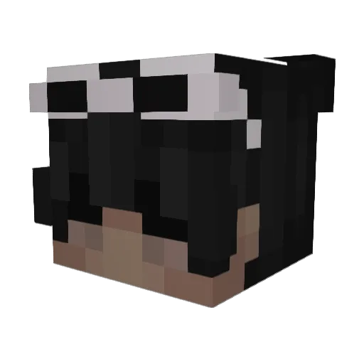 OMEGAA1 Minecraft avatar head, 3D render