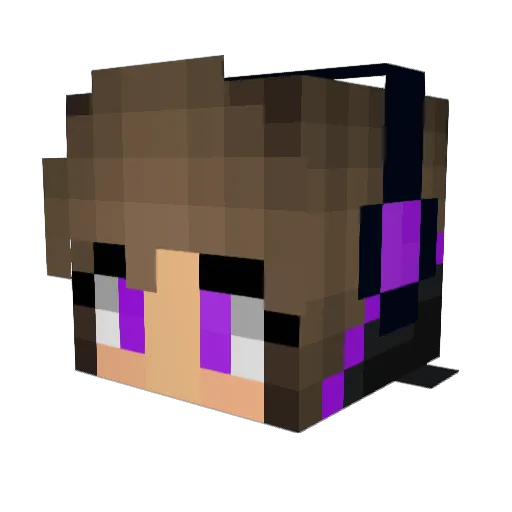 OMEGAOtter Minecraft avatar head, 3D render