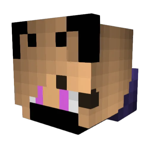 OMG8989PLAYS Minecraft avatar head, 3D render