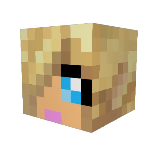 OMGCon Minecraft avatar head, 3D render