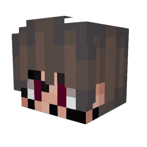 OMGItsNoah Minecraft avatar head, 3D render