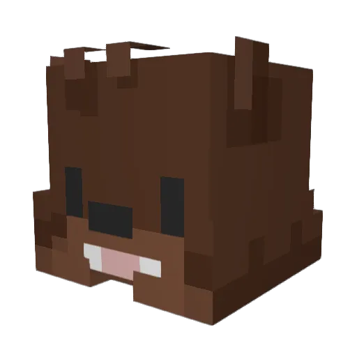 OMGItsYogi Minecraft avatar head, 3D render