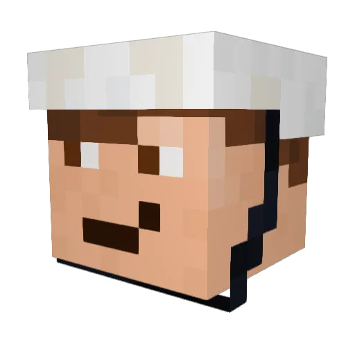 OMGMaster9 Minecraft avatar head, 3D render