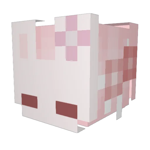 OMGPuppy Minecraft avatar head, 3D render