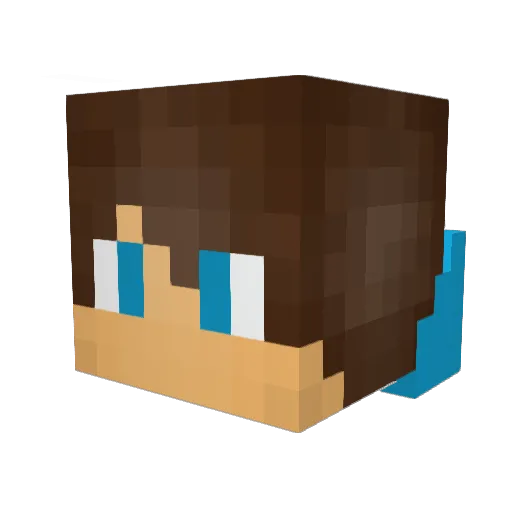 OMG_ET Minecraft avatar head, 3D render